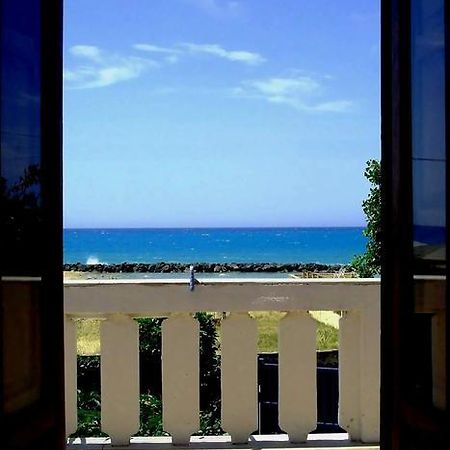 B&B Nettuno 산리온 외부 사진